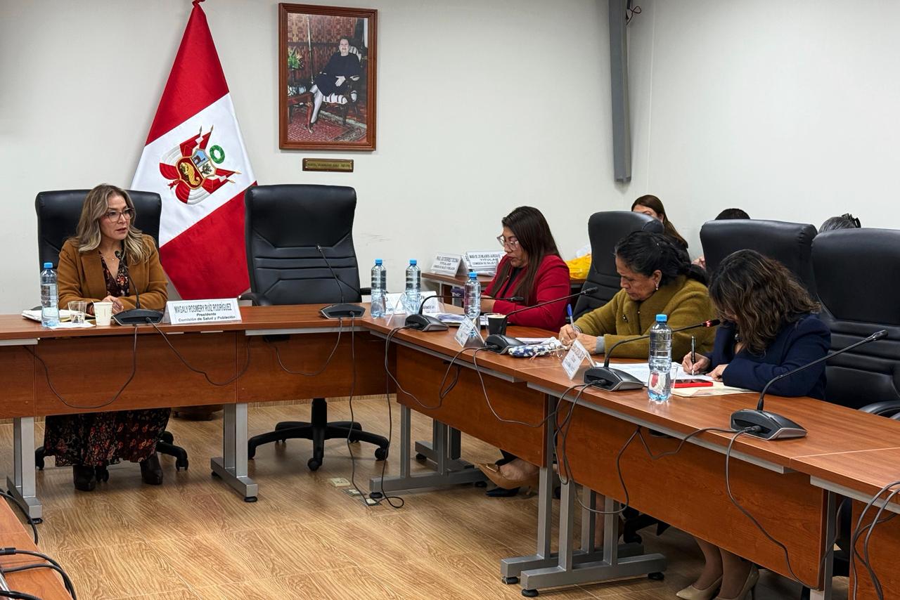 Comisión de Salud presidida por Magaly Ruiz aprueba dos nuevos predictámenes para hospitales del Perú - Imagen ilustrativa